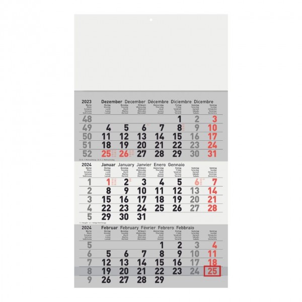  Dreimonatswandkalender a-series AS1559
