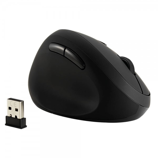 Maus Kensington Pro Fit Ergo Wireless K79810WW