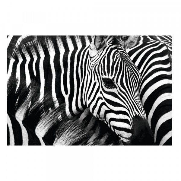 Wandbild Paperflow Zebra PHT06C