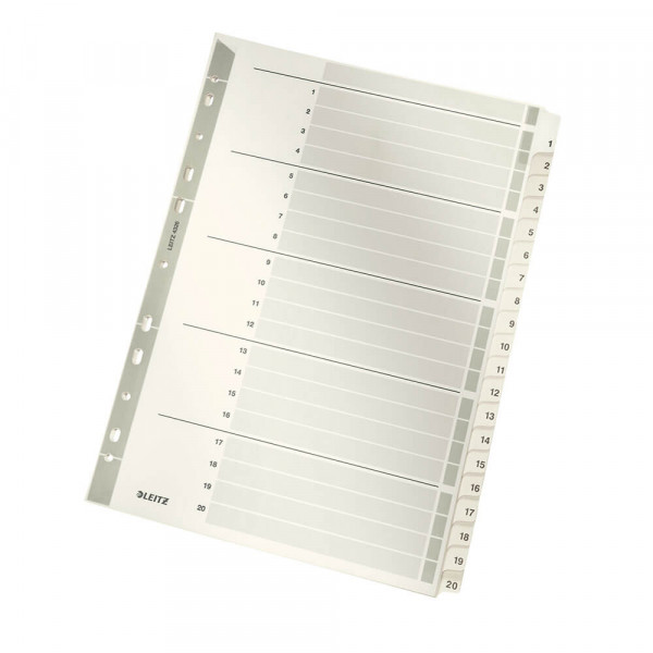 Kartonregister Leitz 4326, A4, 1-20