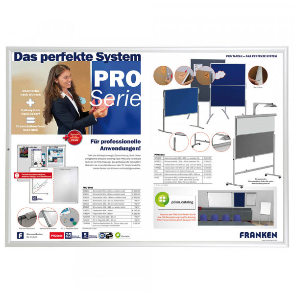 Plakatrahmen Franken Wechselrahmen Security BS1905