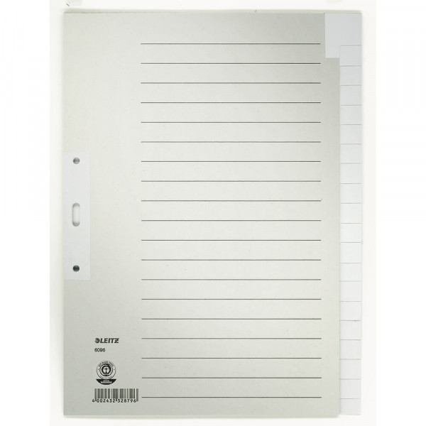 Papierregister Leitz 6096, A4, blanko, 20-teilig